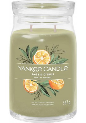 Шалфей и цитрус большая свеча 567 грамм / Yankee Candle Signature Sage & citrus