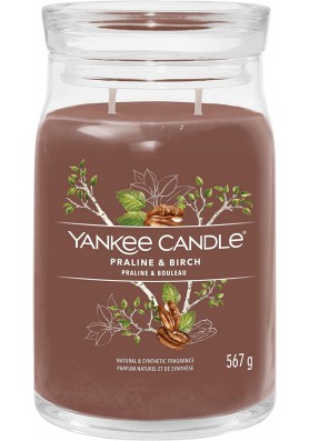 Пралине и береза большая свеча 567 грамм / Yankee Candle Signature Praline & Birch
